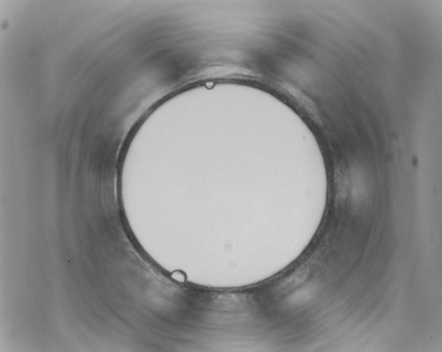 X0000072991322200608111757