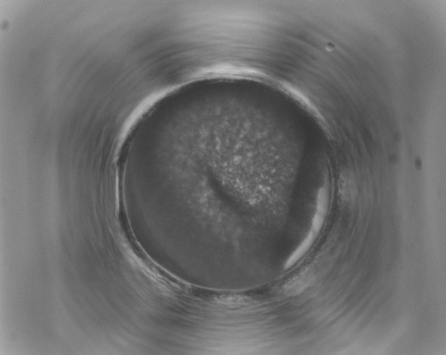 X0000072991323200608111757