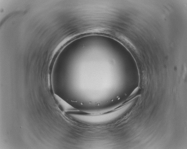 X0000072991324200608111757