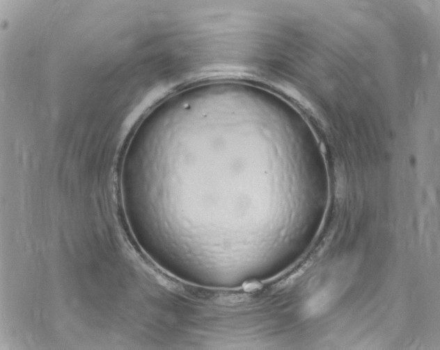 X0000072991325200608111757