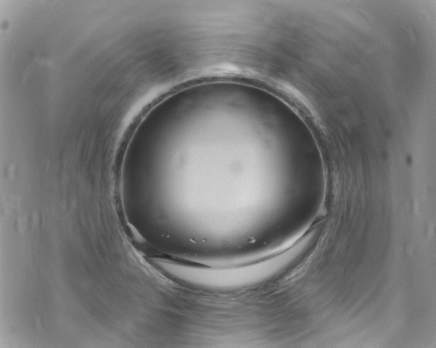 X0000072991326200608111757