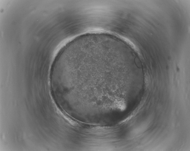 X0000072991327200608111757