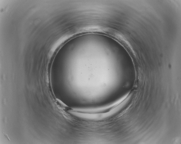 X0000072991328200608111757