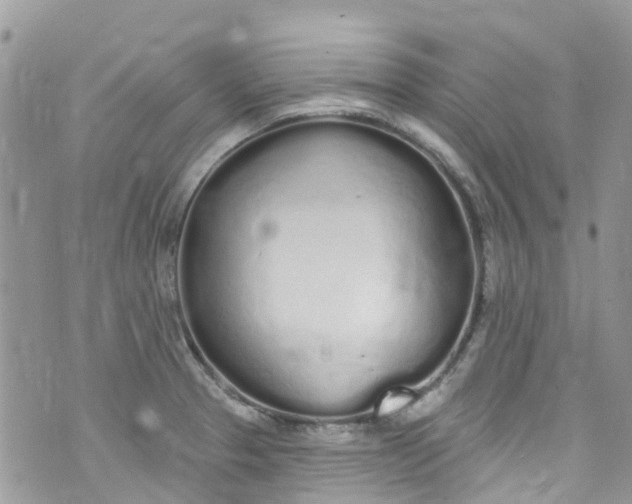 X0000072991329200608111757