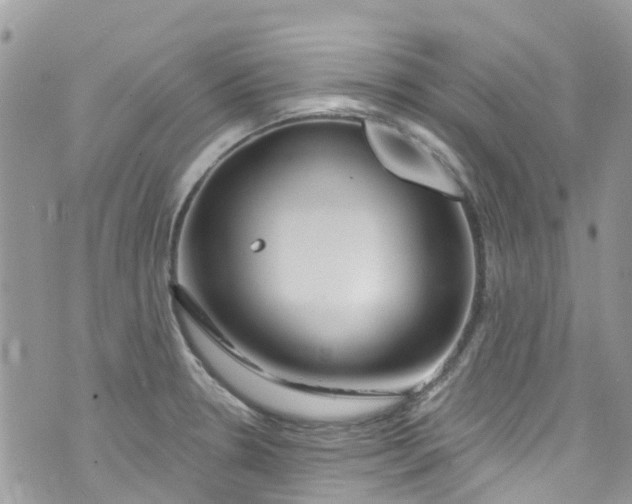 X0000072991330200608111757