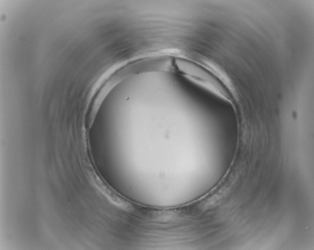 X0000072991332200608111757