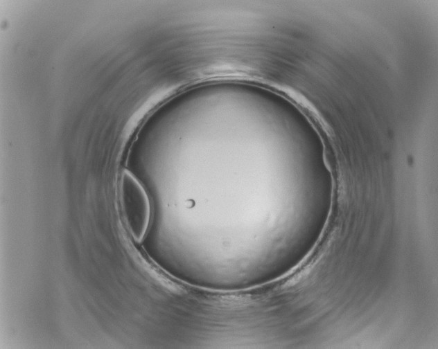 X0000072991333200608111757