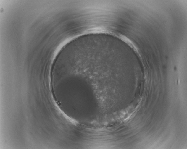 X0000072991334200608111757