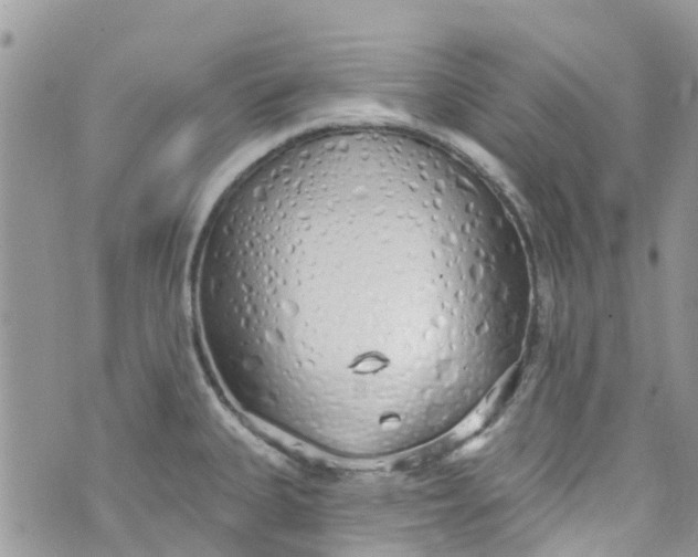 X0000072991335200608111757