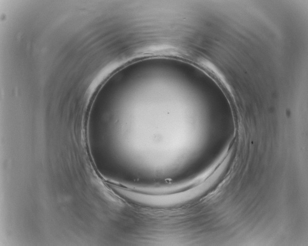 X0000072991336200608111757