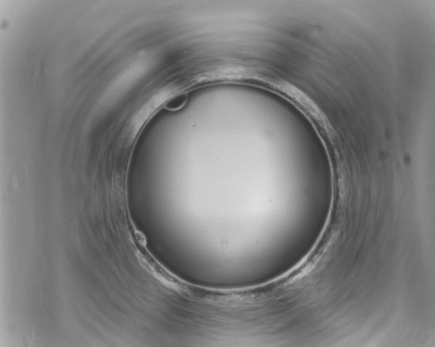 X0000072991337200608111757