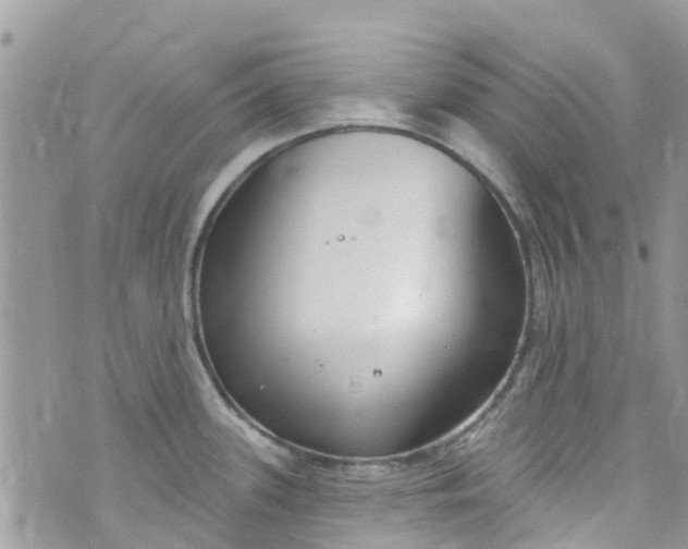 X0000072991339200608111757