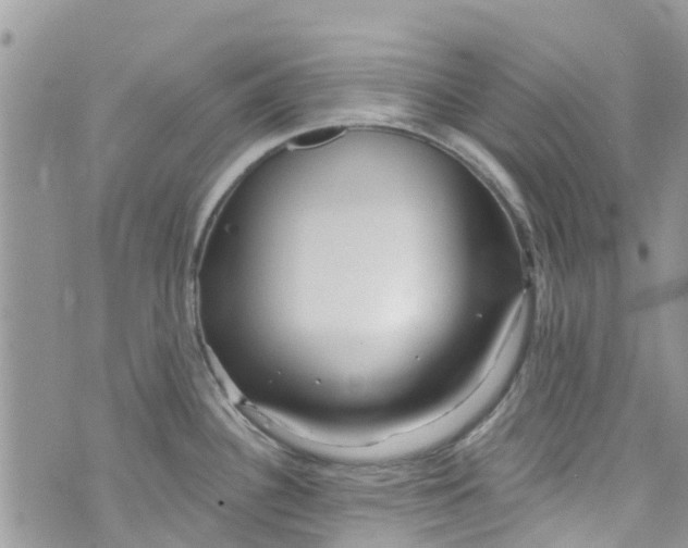 X0000072991340200608111757