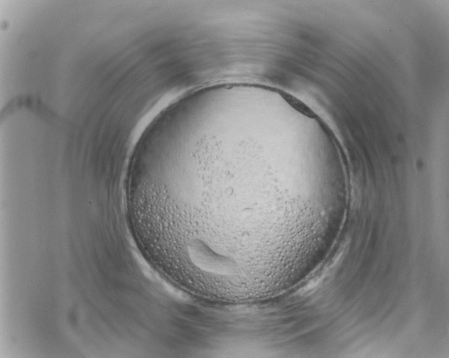 X0000072991341200608111757