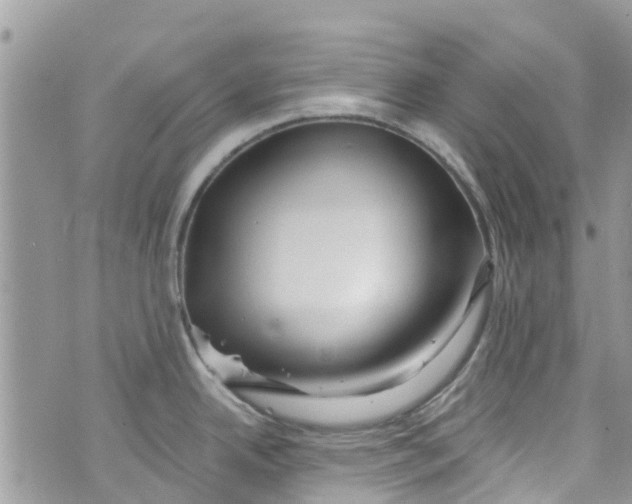 X0000072991342200608111757