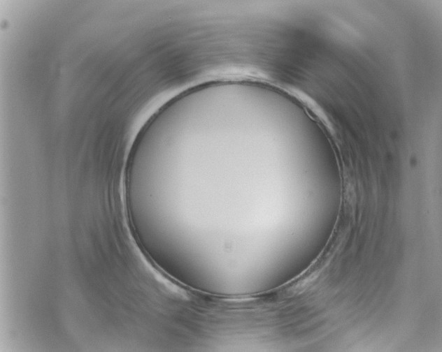 X0000072991343200608111757