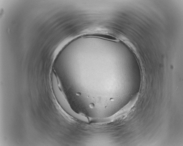 X0000072991344200608111757