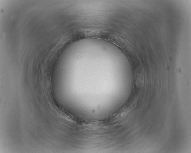 X0000072991345200608111757