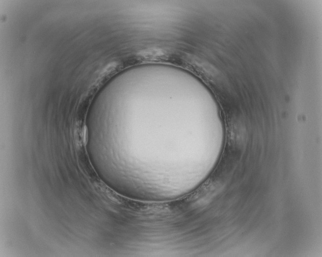 X0000072991346200608111757