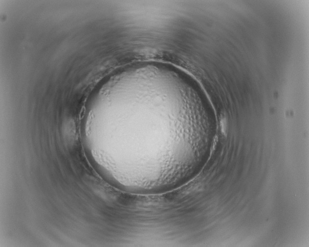 X0000072991347200608111757