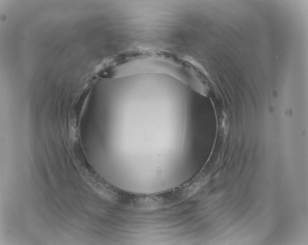 X0000072991348200608111757