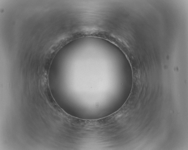 X0000072991349200608111756