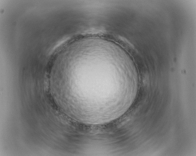 X0000072991350200608111756