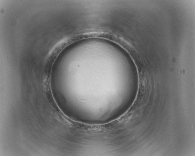 X0000072991351200608111756