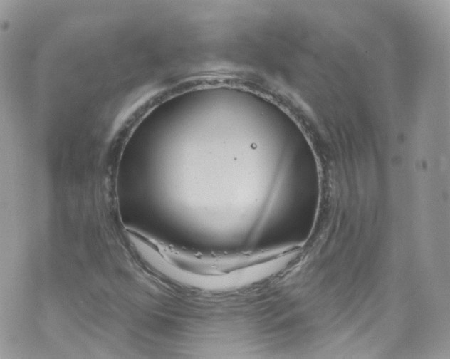 X0000072991352200608111756