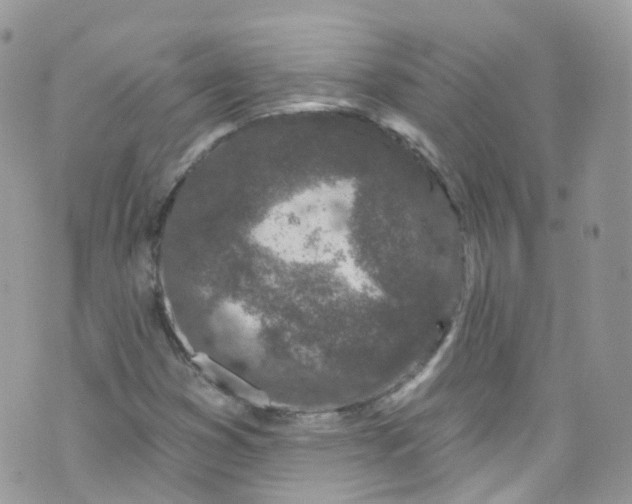 X0000072991353200608111756