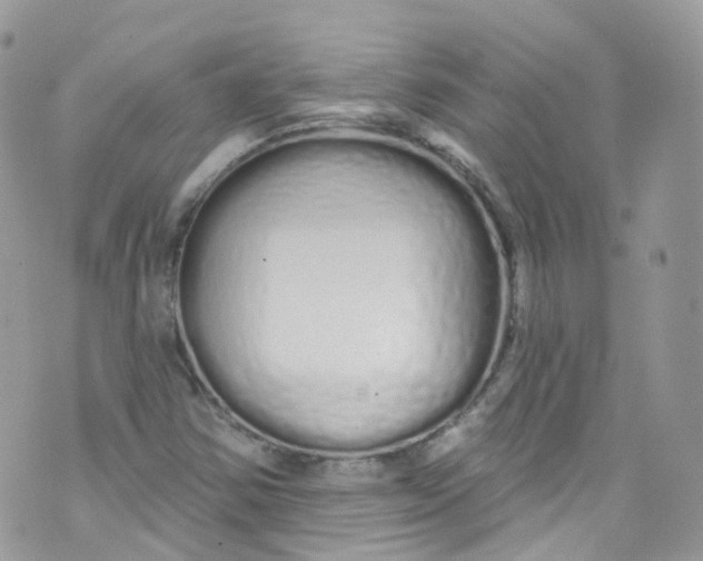 X0000072991354200608111756