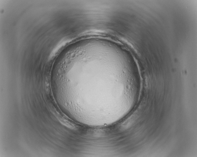 X0000072991355200608111756