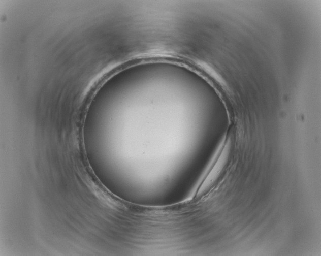 X0000072991356200608111756