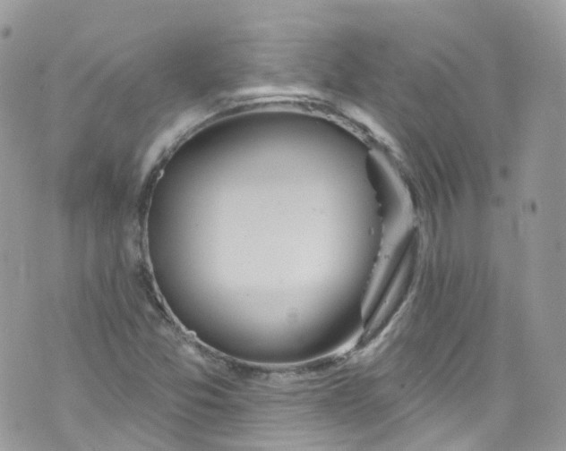 X0000072991357200608111756