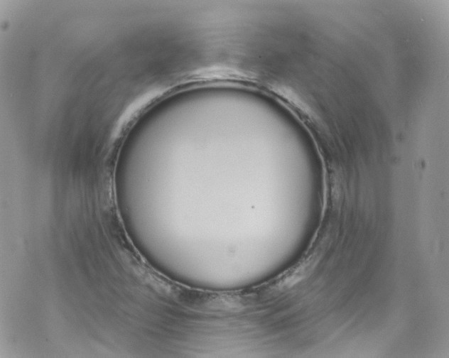 X0000072991358200608111756