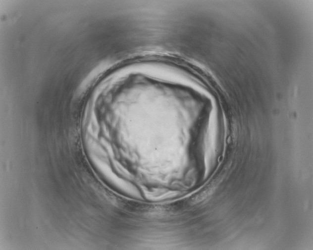 X0000072991359200608111756