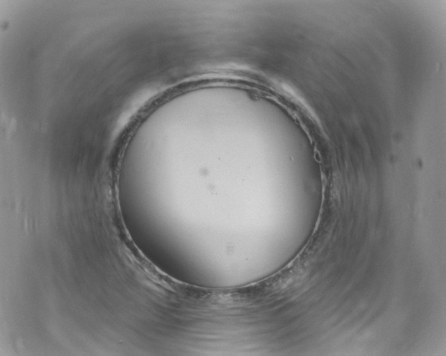 X0000072991360200608111756