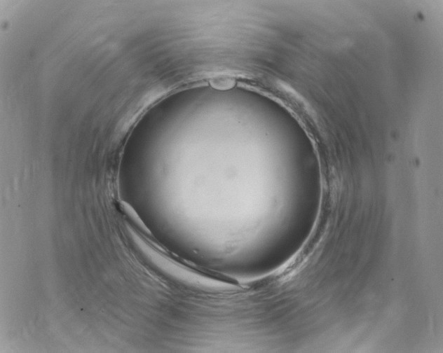 X0000072991361200608111756