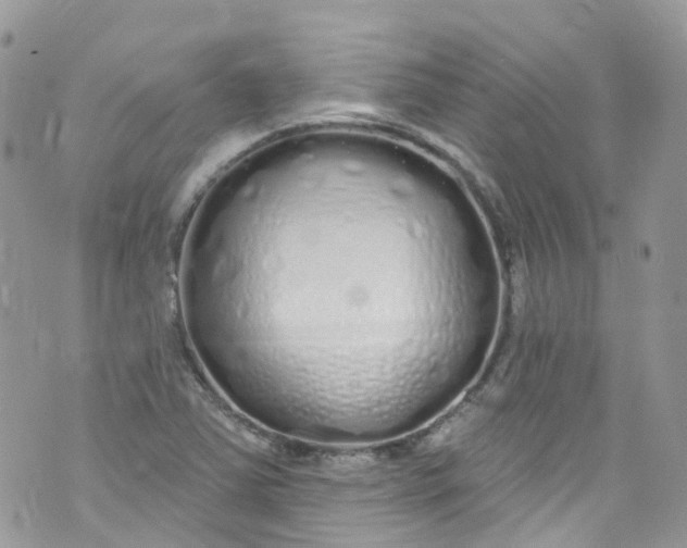 X0000072991363200608111756