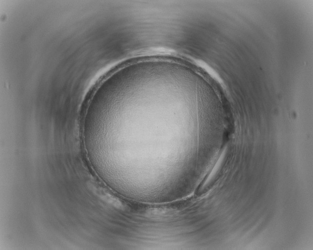 X0000072991364200608111756