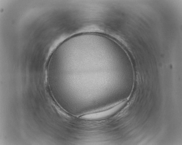 X0000072991366200608111756