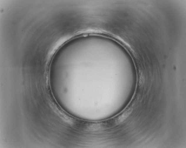 X0000072991367200608111756