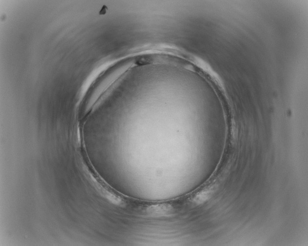 X0000072991368200608111756