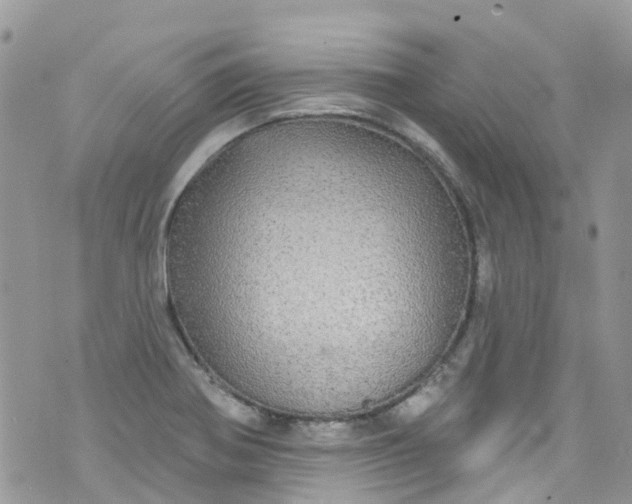 X0000072991370200608111756