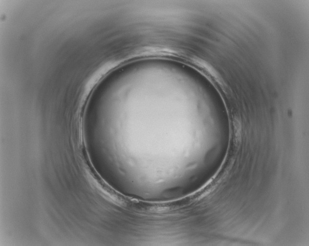 X0000072991371200608111756