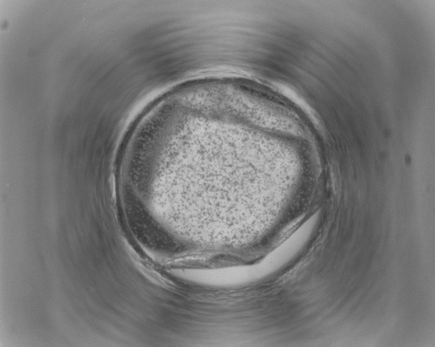 X0000072991372200608111756