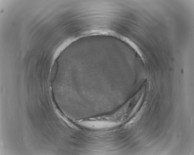 X0000072991373200608111756