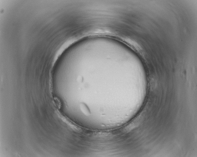 X0000072991374200608111756