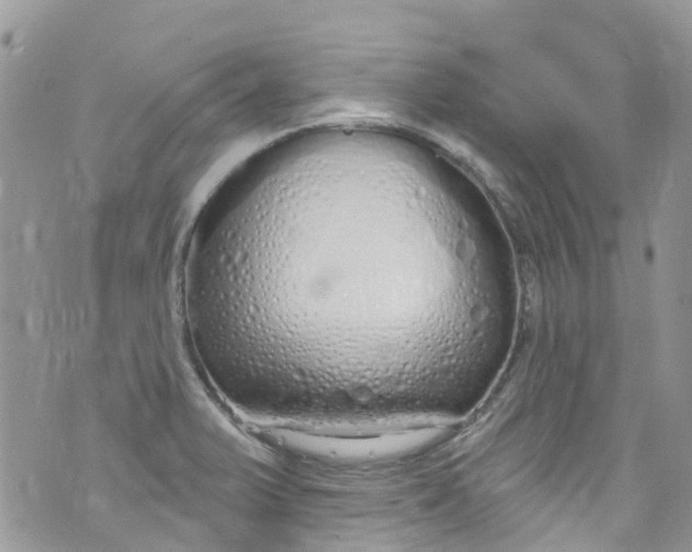 X0000072991375200608111756