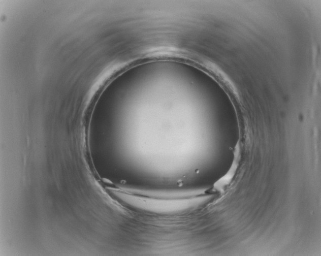 X0000072991376200608111756